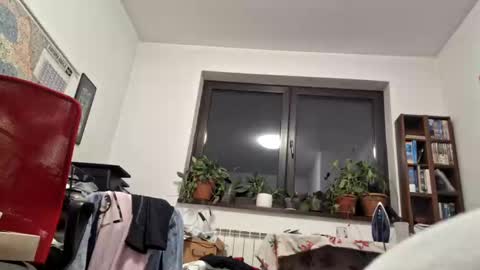 Snapshot of bisexdadd chatting on December 9, 3:07 am bisexdadd online show from December 9, 3:07 am