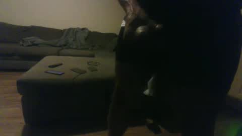 blongd2 online show from January 19, 12:35 am