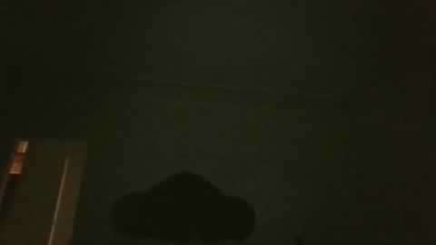 bluemoose70 online show from April 19, 2:55 am