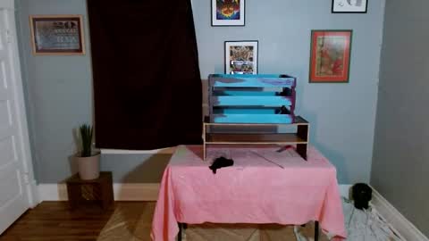 Snapshot of bnczuperzexy chatting on October 31, 2:24 am ZuperZexyZounds online show from October 31, 2:24 am