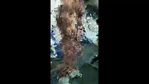 BODI online show from March 30, 8:43 pm