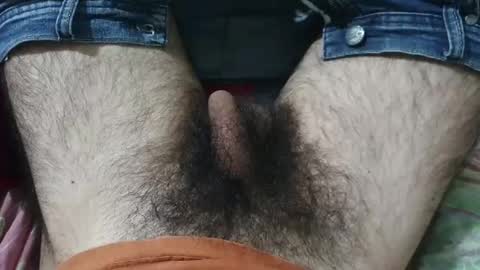 Im Bom - Tip if You Liked my Hairy Body - Private Show is Open - Read more about me in the bio below online show from May 30, 9:31 am