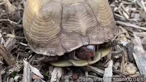 Booker Baxton online show from March 9, 4:05 am