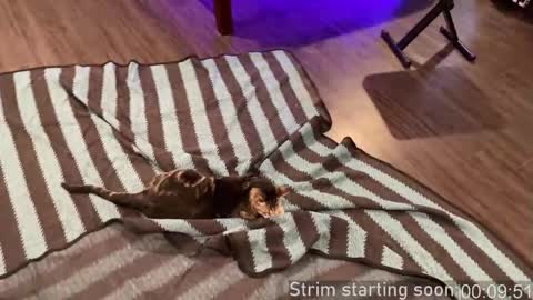 Booker Baxton online show from October 14, 3:02 am