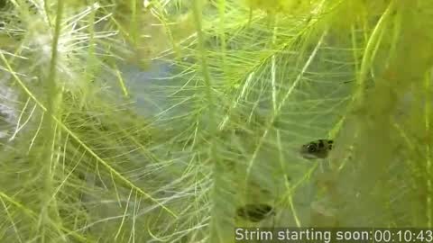 Booker Baxton online show from March 10, 3:01 am