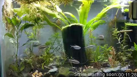 Booker Baxton online show from September 23, 2:55 am