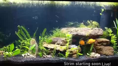 Booker Baxton online show from October 1, 3:10 am