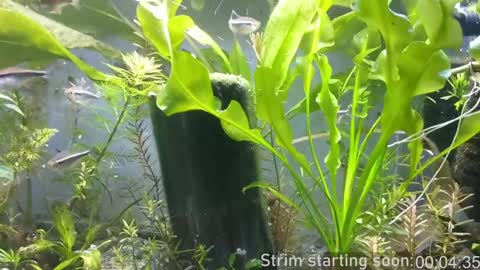 Booker Baxton online show from December 15, 4:07 am