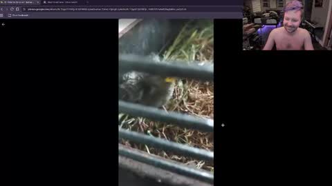 Booker Baxton online show from February 20, 6:26 am