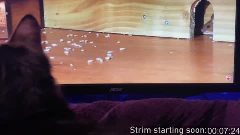 Booker Baxton online show from February 2, 4:05 am