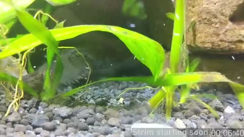 Booker Baxton online show from January 14, 4:04 am