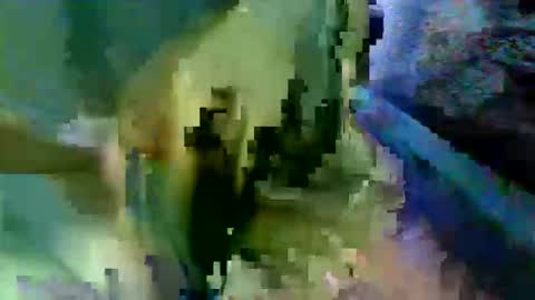 bossram160 online show from October 17, 8:29 am