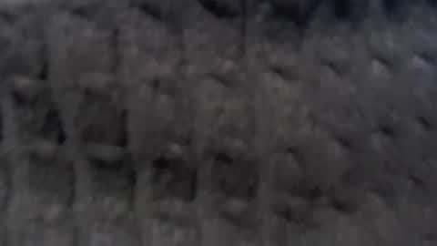 bossram160 online show from December 20, 6:56 pm