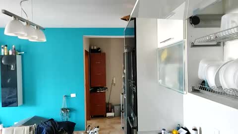 Dan online show from September 13, 10:27 am