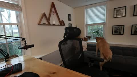 BradBronton online show from April 2, 8:06 pm