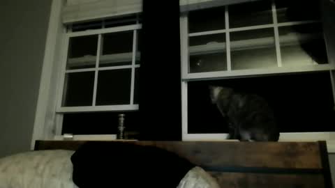 brandon255225 online show from February 14, 2:06 am