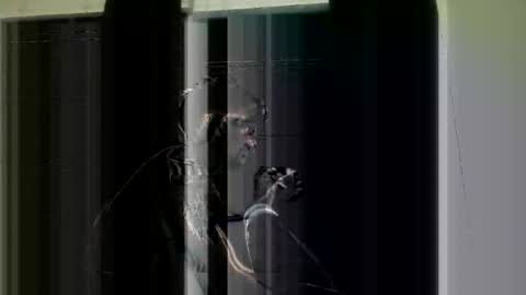 brandon255225 online show from February 9, 2:05 am