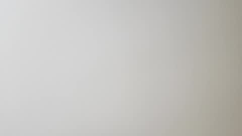 Brandon online show from November 14, 12:06 pm