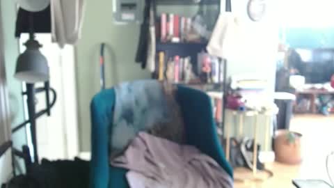 brodywright073 online show from September 22, 8:19 pm