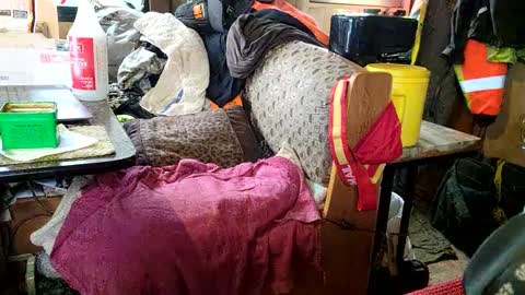 Steve... aka SkinnieDippin aka TimberTramp online show from January 10, 6:49 pm