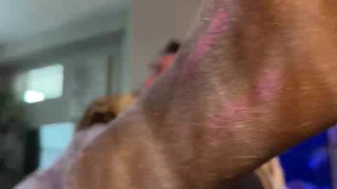 Bsxpert1 online show from March 2, 10:06 pm