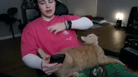 BubblebuttBdn online show from February 4, 5:13 am