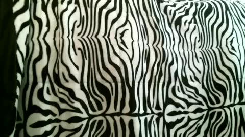 bustinfree online show from October 7, 4:33 pm