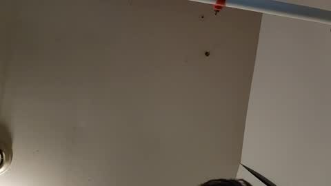 camtai12 online show from March 9, 2:39 am