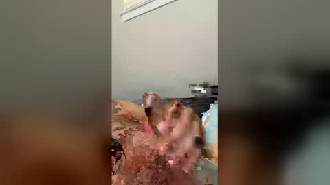 catireray online show from May 15, 5:54 pm