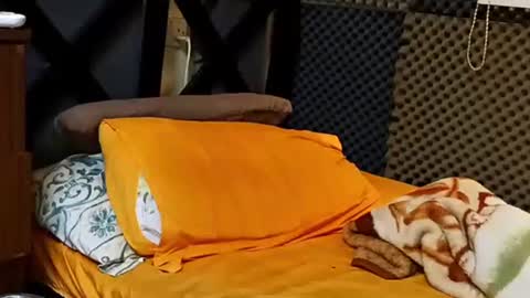 cezar online show from September 18, 2:19 pm