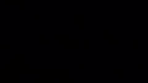 cheffydl online show from November 16, 10:06 am