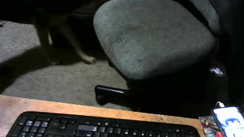 chefy online show from October 31, 11:57 am