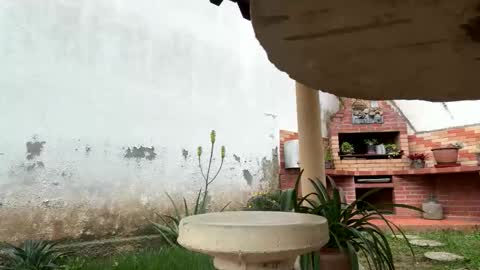  ---   online show from November 1, 6:23 pm