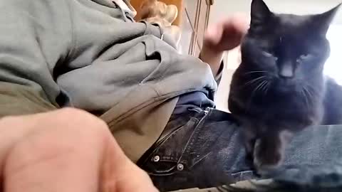 chevy69 online show from November 18, 12:20 pm