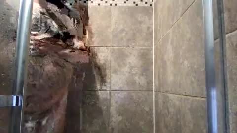 lOOking4me online show from September 17, 6:09 pm