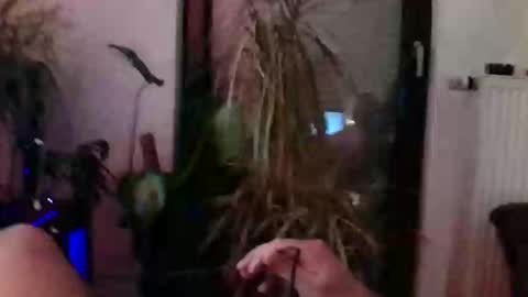 chymox online show from November 22, 6:18 pm