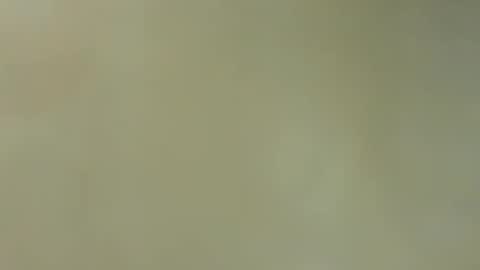 CockMcCocker online show from November 19, 2:44 am