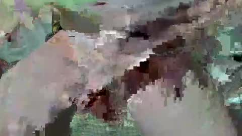 cogela_sin_miedo online show from October 22, 3:38 pm