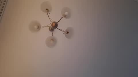 Corvus online show from December 29, 10:56 am