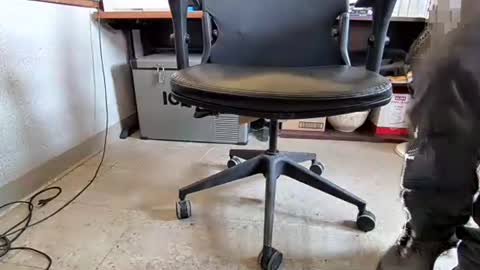 CountryBoy 10 online show from September 18, 5:04 pm