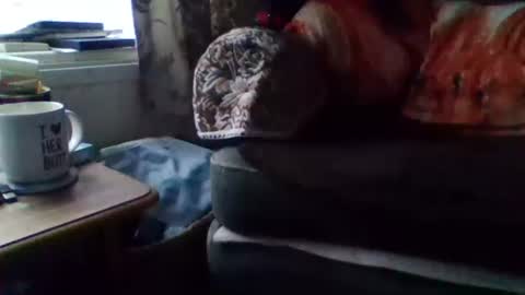 courieral1 online show from February 15, 8:00 am