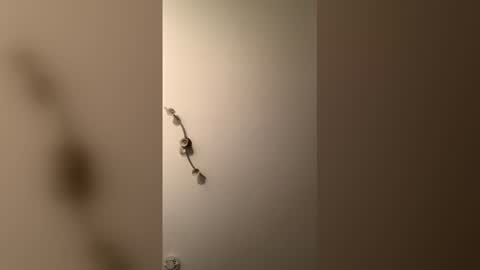 cp1a online show from December 18, 8:38 pm