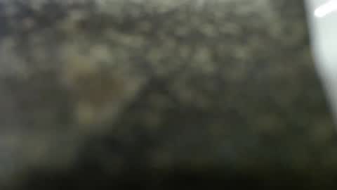 craiganton online show from November 15, 11:12 am