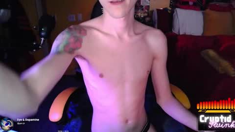 CryptidTwink online show from February 3, 7:24 am