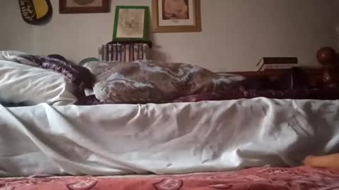 cum_daddy33 online show from March 12, 5:31 pm