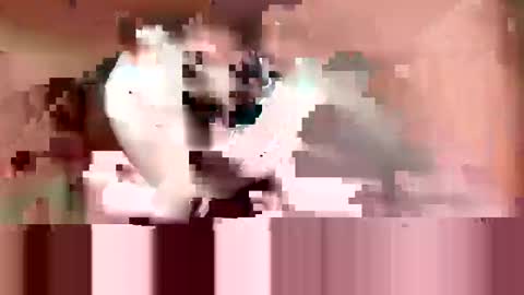 cumslowlyforu online show from February 17, 2:05 pm