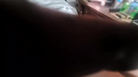 curved602506 online show from February 20, 4:18 am