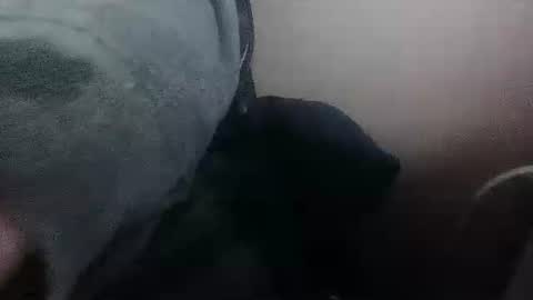 Snapshot of daddydick6969twin77 chatting on November 1, 9:46 am DDick online show from November 1, 9:46 am