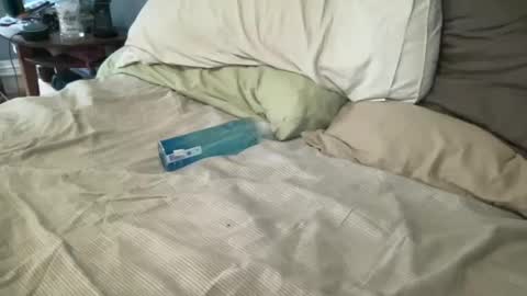 dadstrokin online show from February 11, 11:12 pm