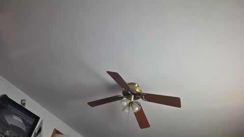 Daniel    y. online show from February 22, 10:55 pm